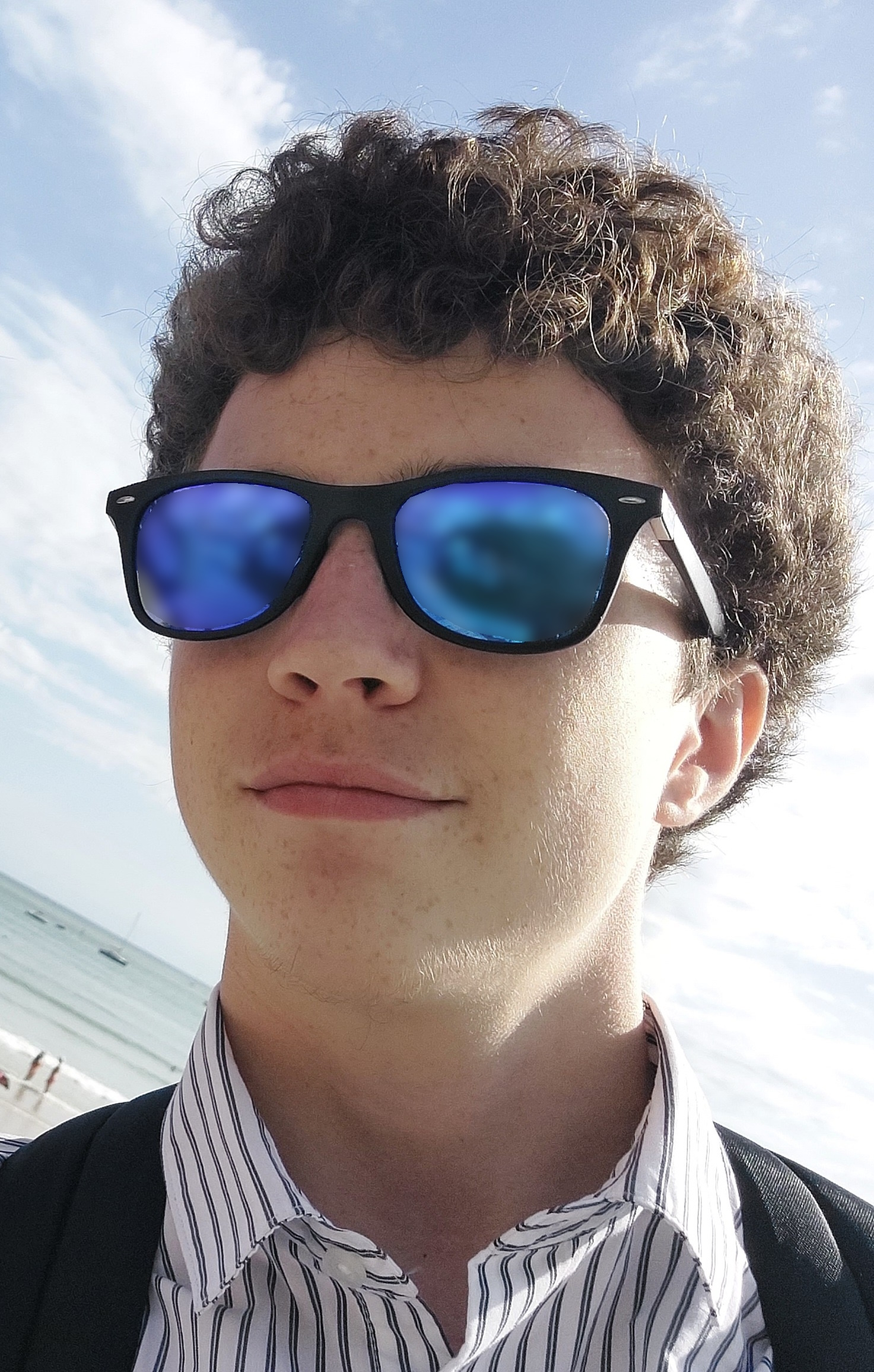 shayfox-img